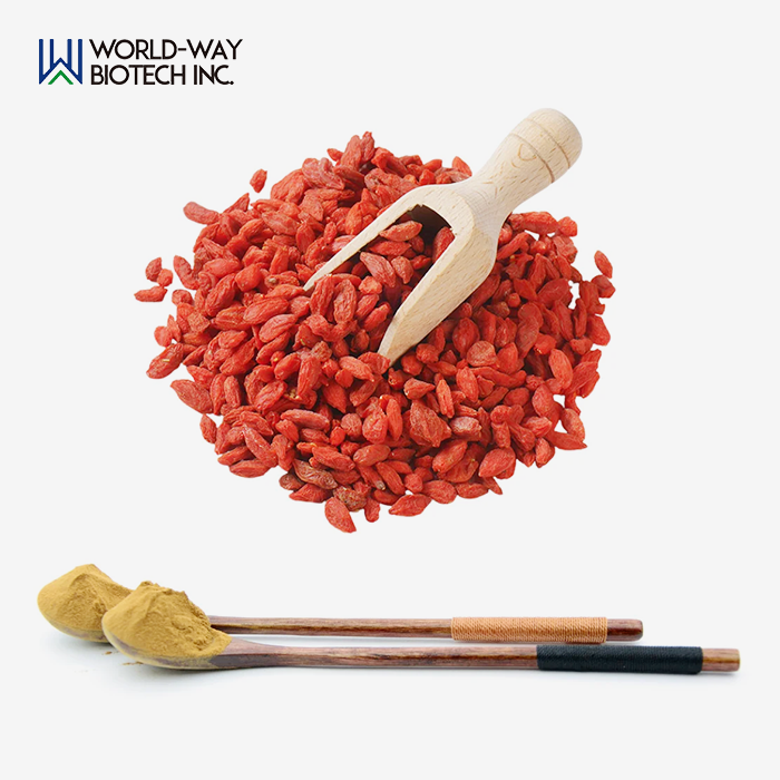 Wolfberry Extract Wolfberry Extract